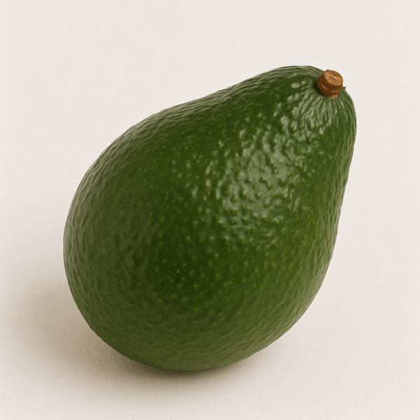 Avocat