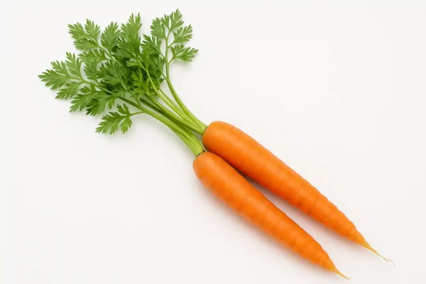 Carottes