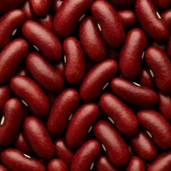 Haricots rouges